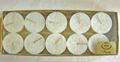 Hyssop (Holy Fire) 9pk votives  - GREAT VALUE!!