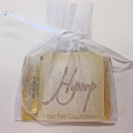 1 mL Hyssop(Holy Fire) Oil Vial in Sheer Pouch