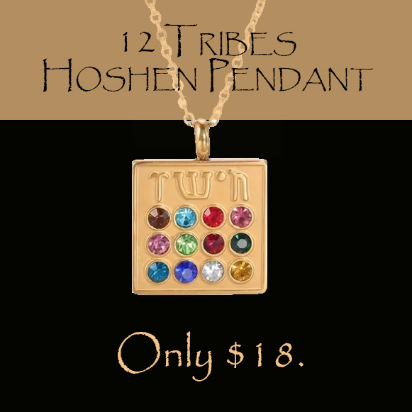 1 FOR $16.99 - "HOSHEN - 12 TRIBES" STAINLESS PENDANT
