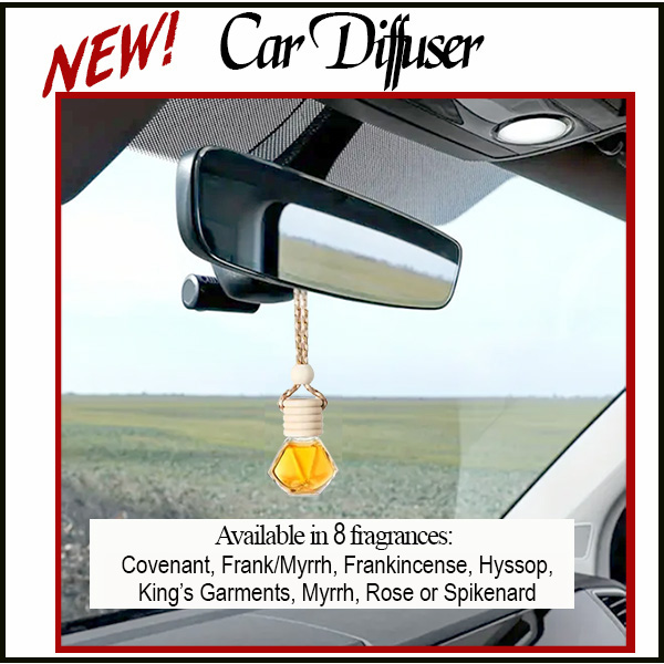 Car Diffuser with  1/4 oz Diffuser Liquid